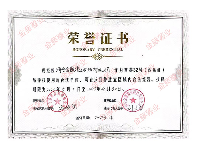 榮譽(yù)證書(shū)